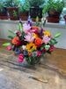 Lush and full cut flower arrangement in a 6x6 inch cylinder with Colorado field grown and greenhouse flowers and South American flowers